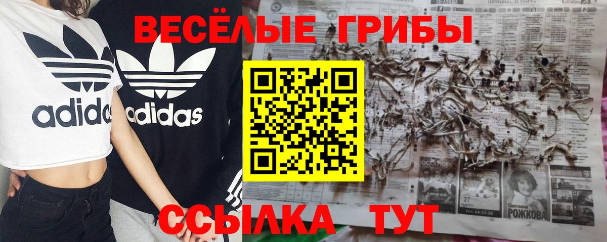 Заволжье  Галлюциногенные грибы GOLDEN TEACHER  Галлюциногенные грибы Psilocybe  Вход с VPN 